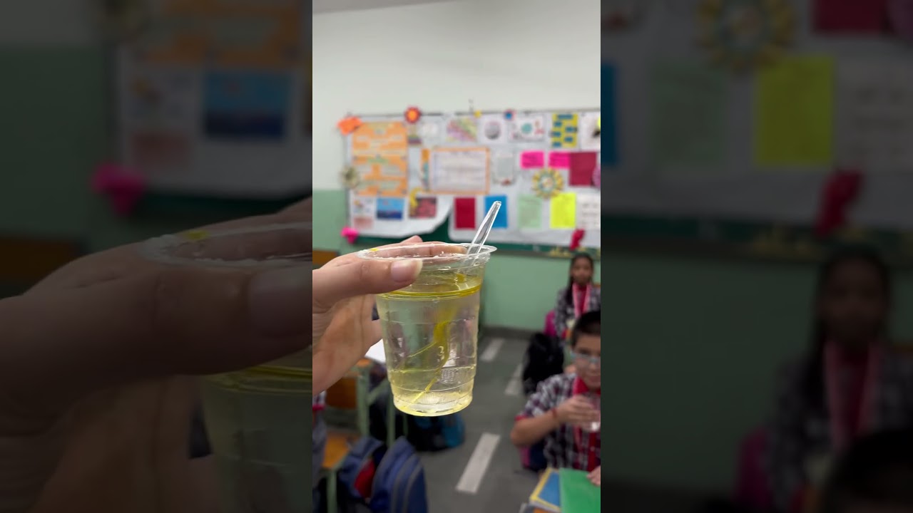 Things that dissolve in water #twau #evs #class5 #ncert #journeyofariver #explorewithus #fyp