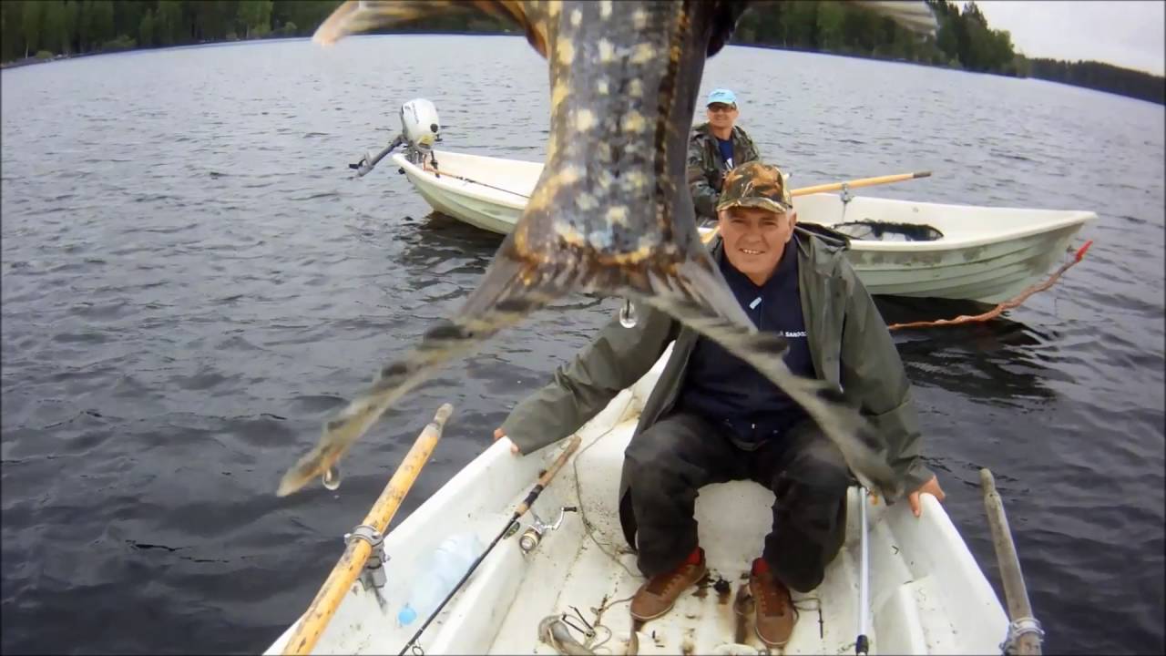Rapala Flat Rap.