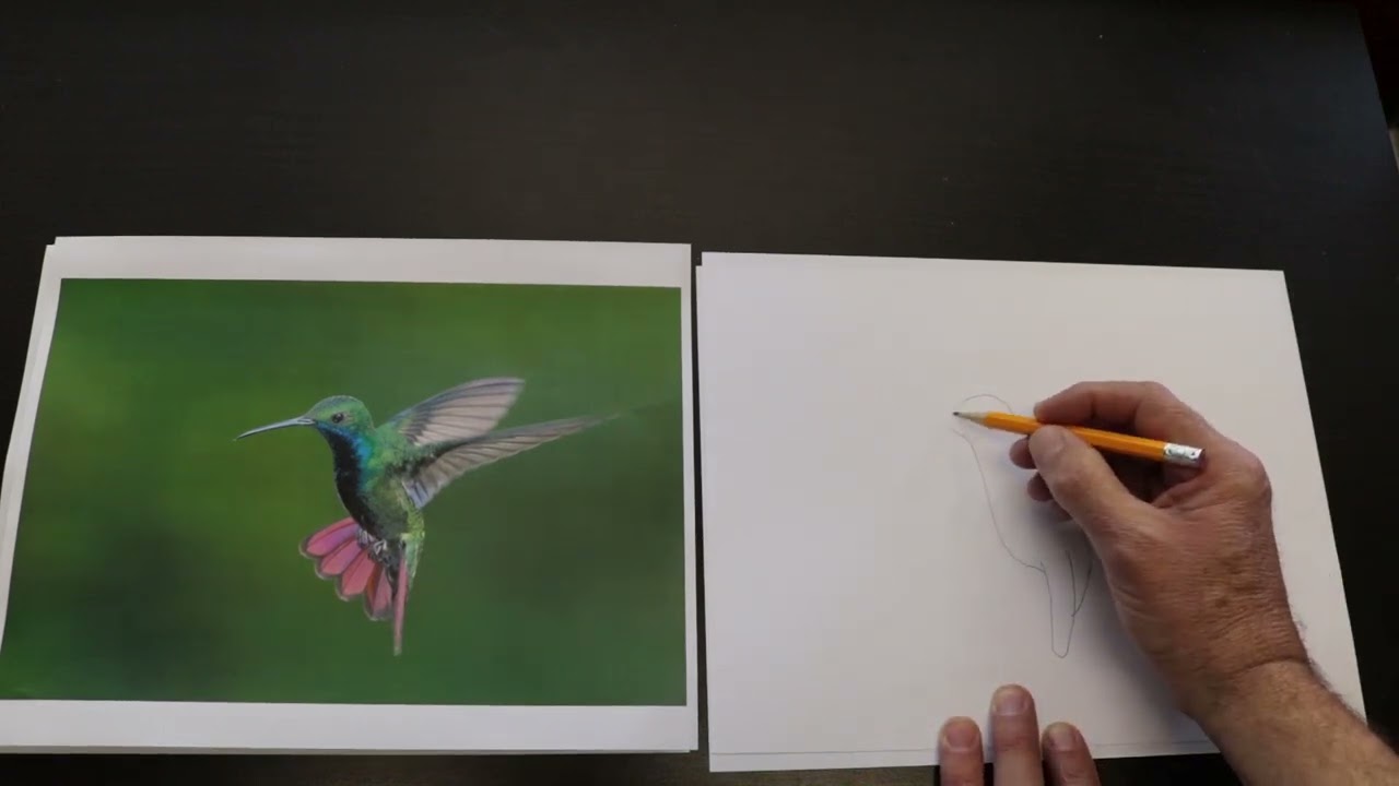 Symbols of Peace | Drawing Practice Video by Oliverio Balcells