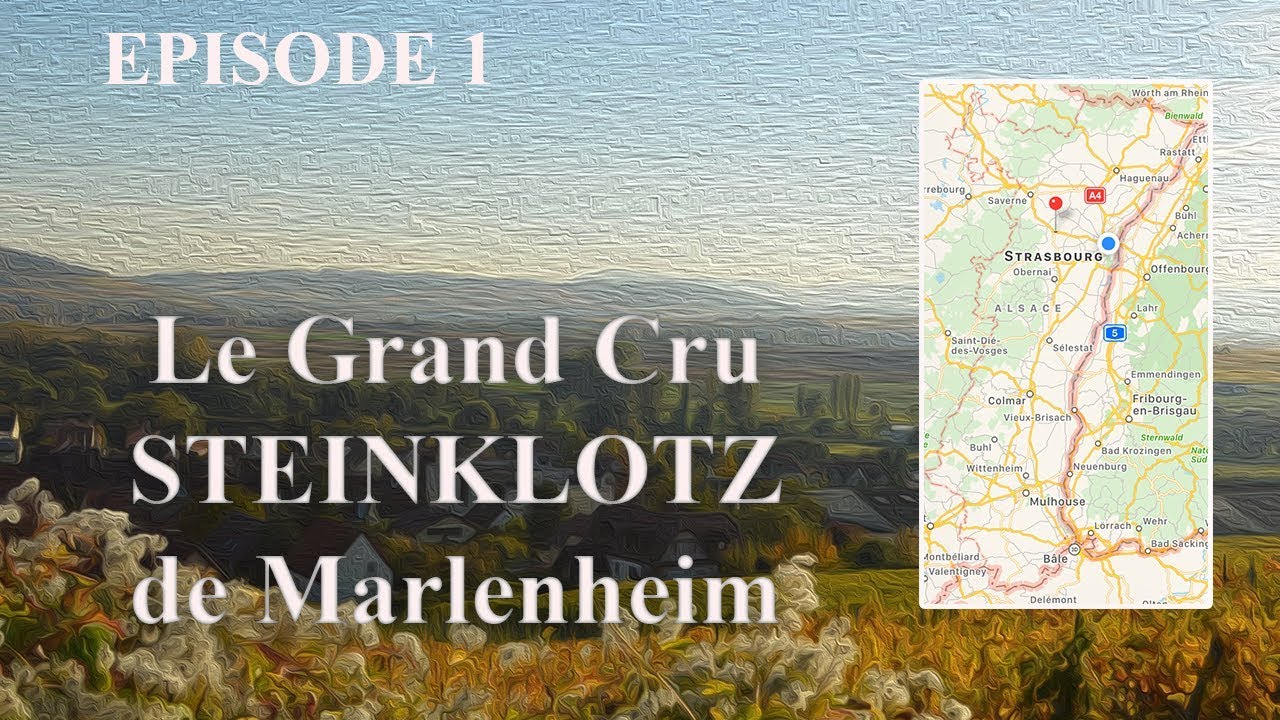 Episode 1 : le Grand Cru Steinklotz de Marlenheim