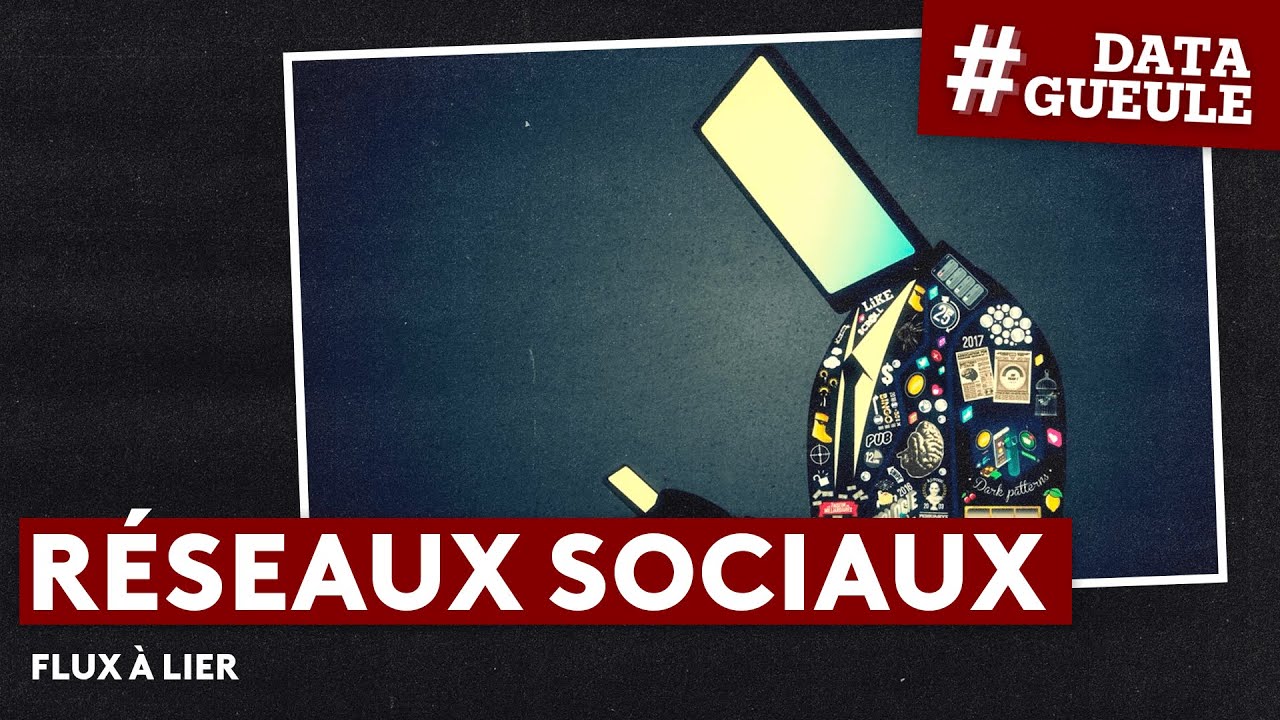 Réseaux sociaux : flux à lier - #DATAGUEULE 95