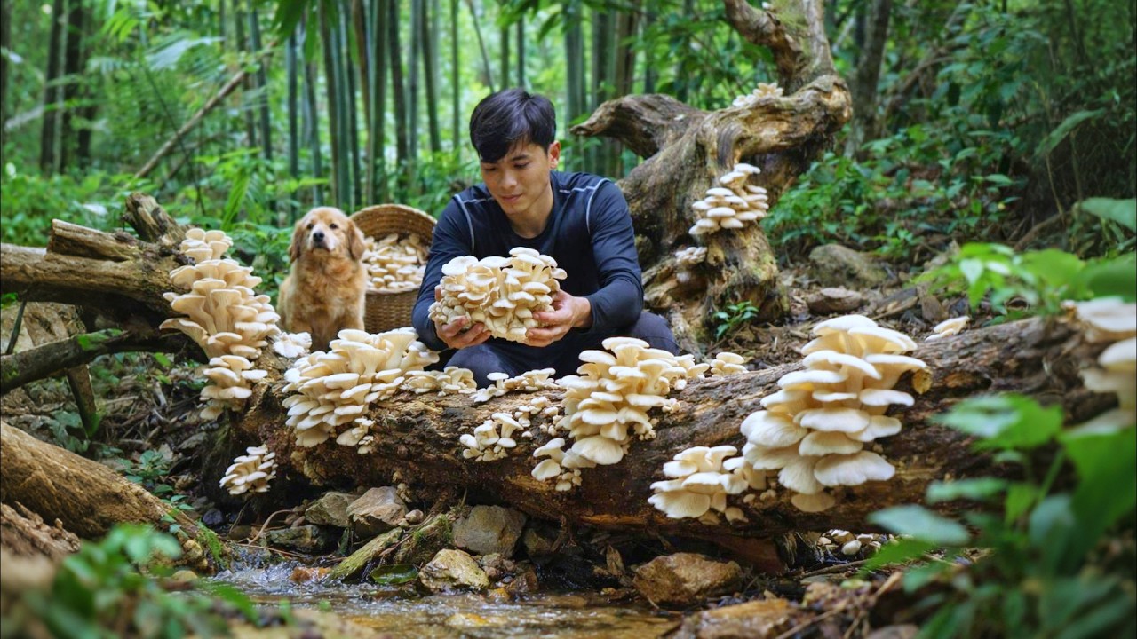 Foraging Wild Mushrooms &ndash; Learning How to Grow Mushrooms & Building a Self Sufficient Life