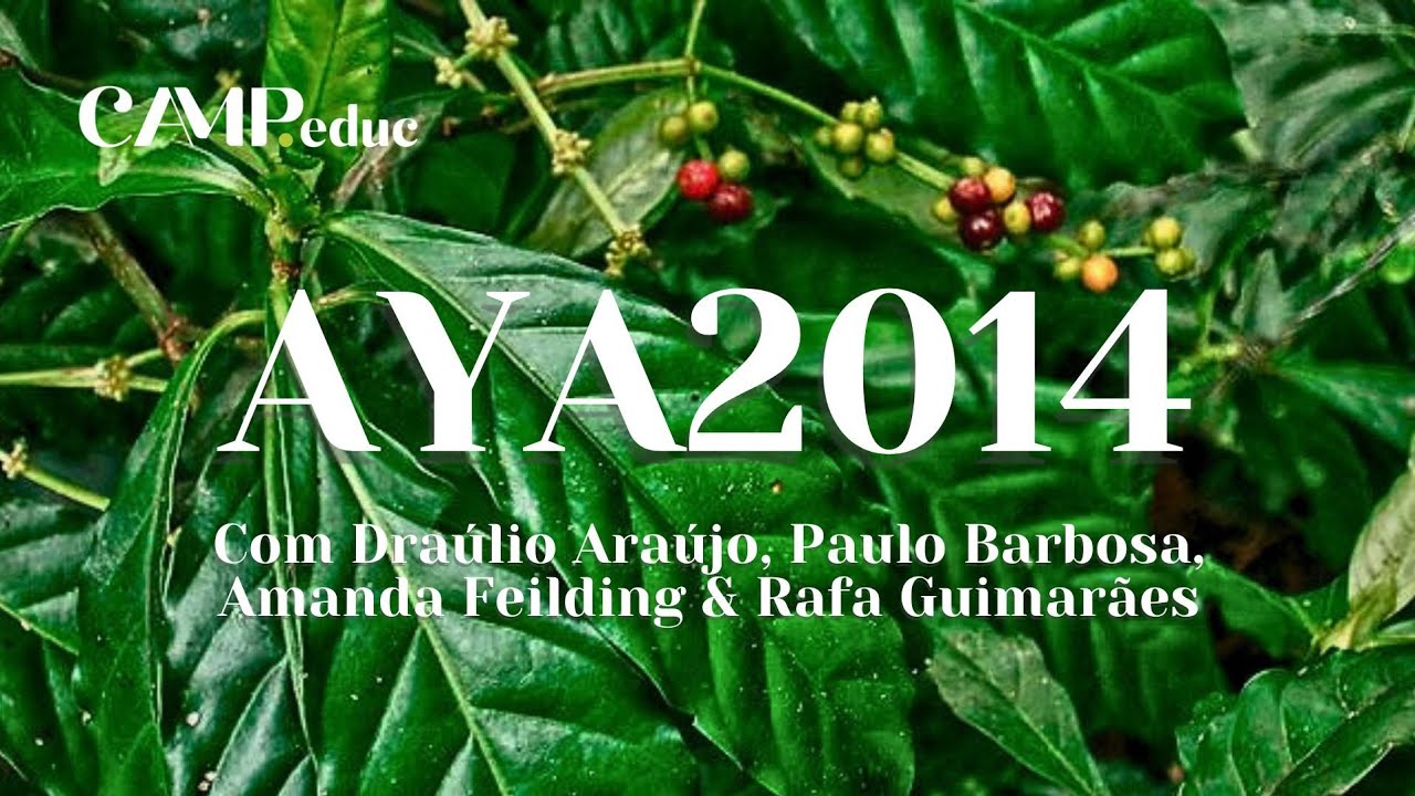 AYA2014 – Pesquisa Científica. Draúlio Araújo, Paulo Barbosa, Amanda Feilding & Rafa Guimarães