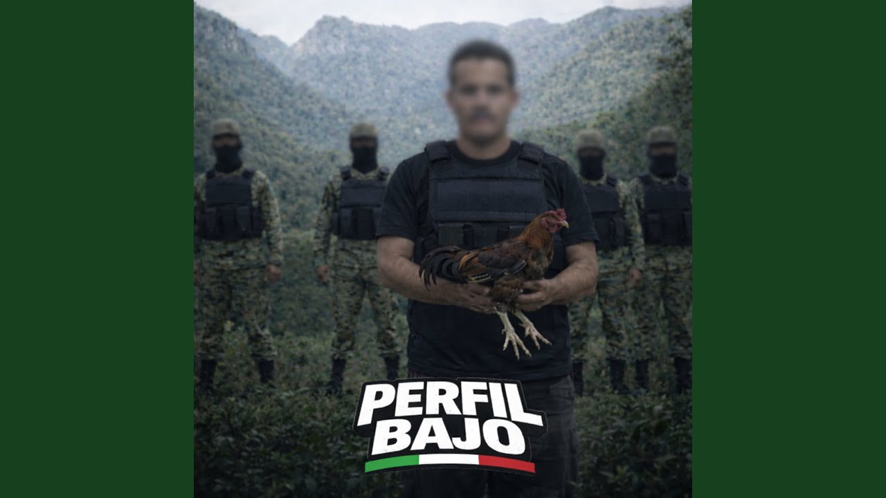 Perfil Bajo