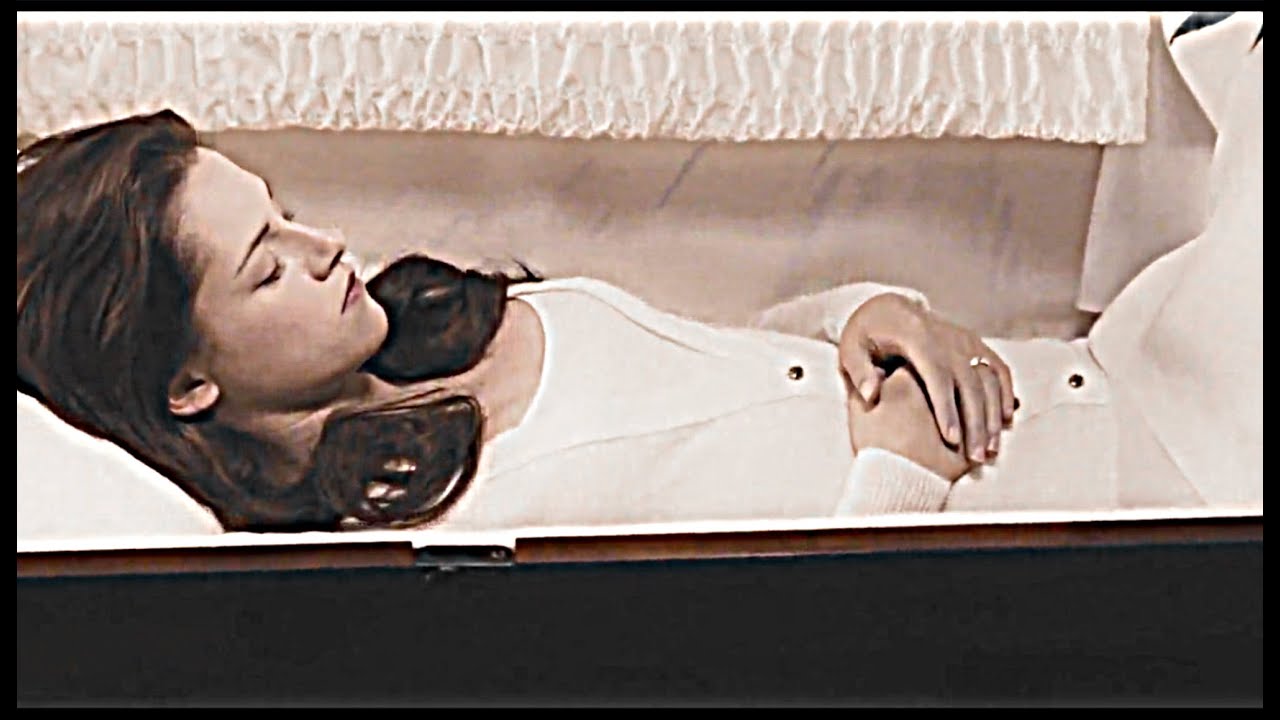 if bella had died (twilight au)