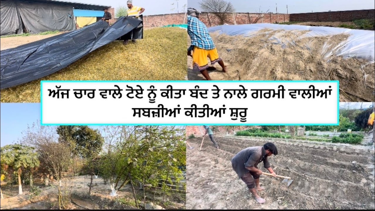 ਅੱਜ ਚਾਰ ਵਾਲੇ ਟੋਏ ਨੂੰ ਕੀਤਾ ਬੰਦ ਤੇ ਨਾਲੇ ਗਰਮੀ ਵਾਲੀਆਂ ਸਬਜ਼ੀਆਂ ਕੀਤੀਆਂ ਸ਼ੁਰੂ
