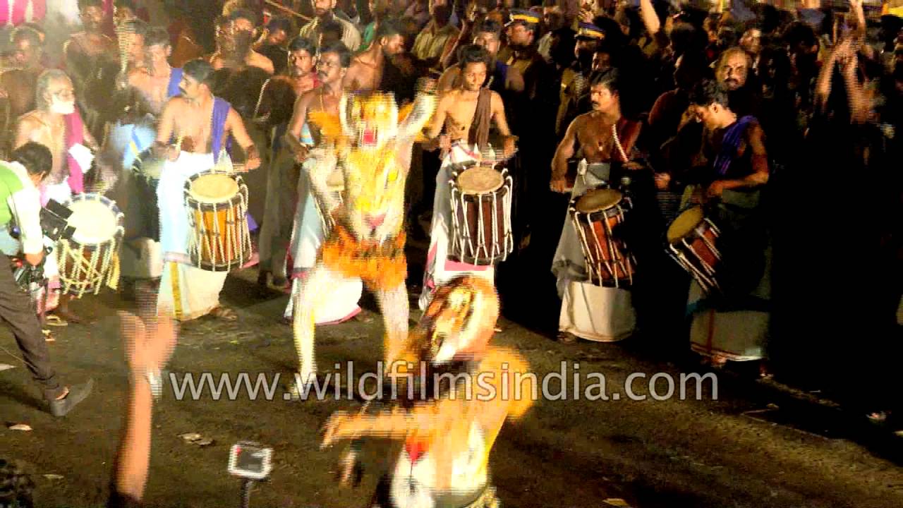 Pulikali - The Play of the Tigers