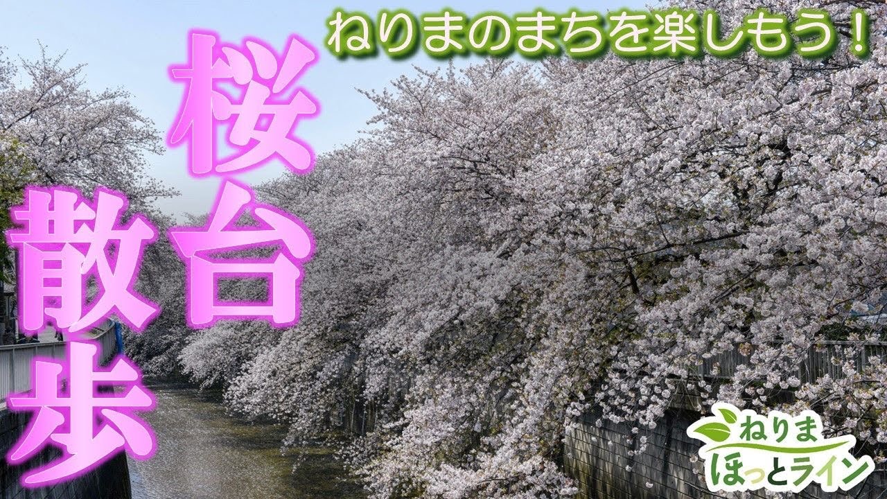 ねりまほっとライン（ねりまのまちを楽しもう！～桜台散歩～）令和6年4月号