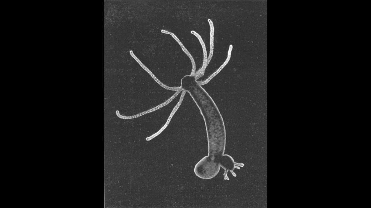 Terror Reid Type Beat 