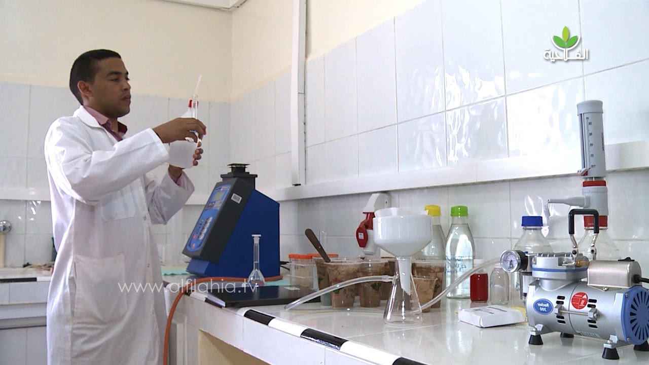 أول مختبر لتحاليل التربة والماء والنبات بالجنوب يفتح أبوابه بالمجان لفائدة فلاحي المناطق الجنوبية