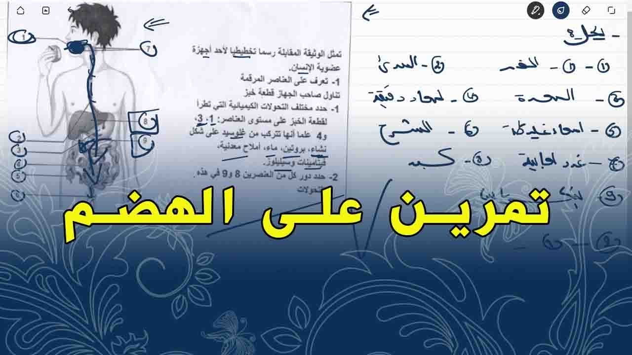 علوم طبيعية السنة الرابعة متوسط تمرين على محطات الهضم