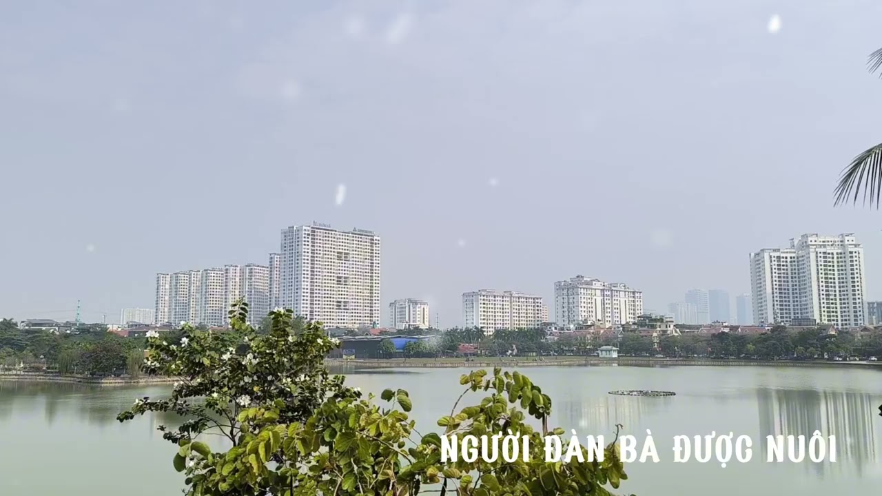 [Truyện Audio] NGƯỜI ĐÀN BÀ ĐƯỢC NUÔI/ Bản tình ca dang dở