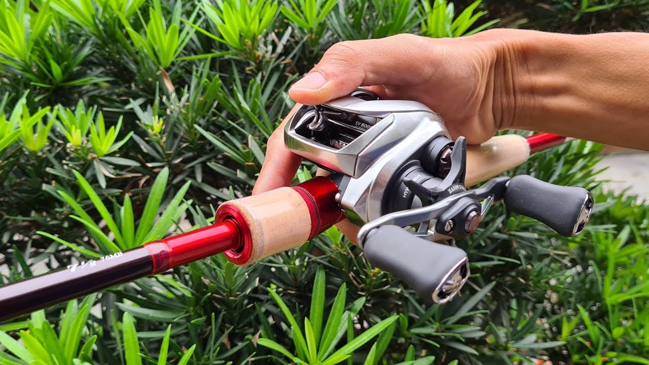 Máy Câu Ngang Daiwa Zillion SV TW | 2021