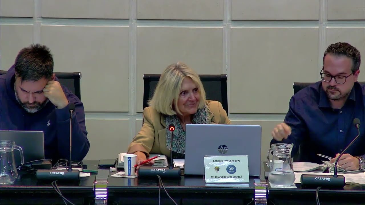 Pleno ordinario del 5 de mayo de 2025