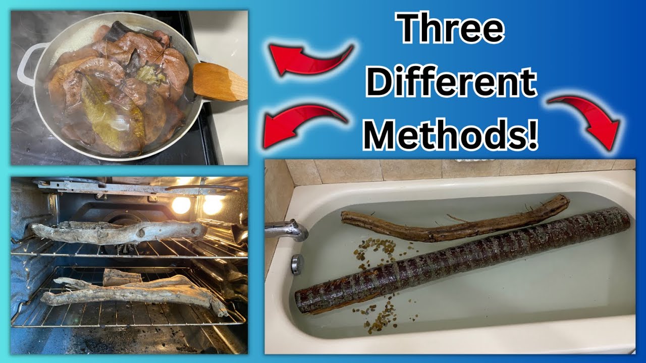 How to Sterilize Wood, Leaves, and Rocks for Reptile Enclosures!