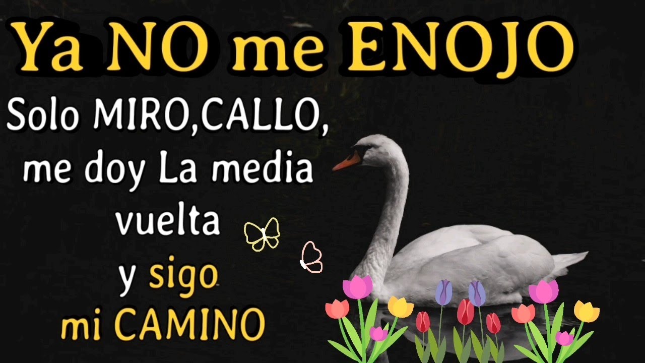 Ya NO me enojo, Solo miro,callo,me doy la media vuelta y sigo mi CAMINO