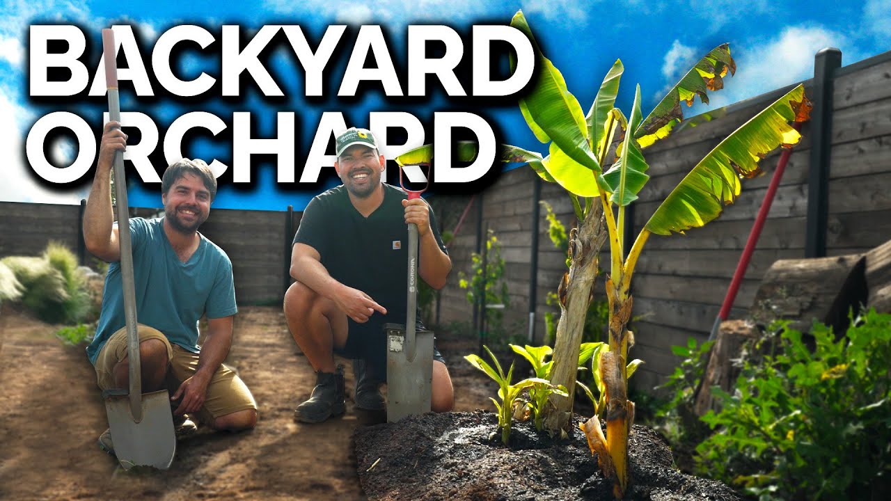 Starting a New Orchard in the Backyard!