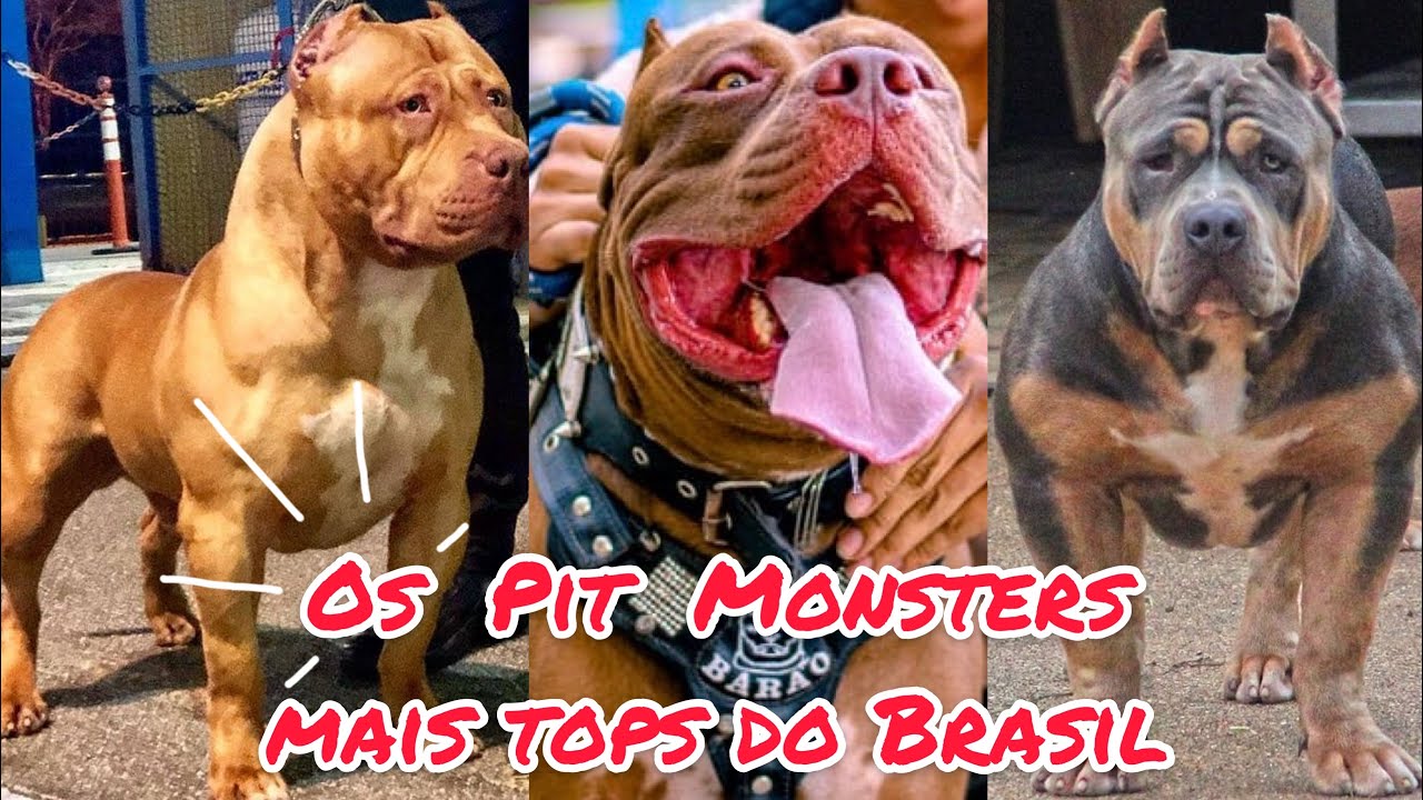 Os Pit Monster mais tops do Brasil | parte 1