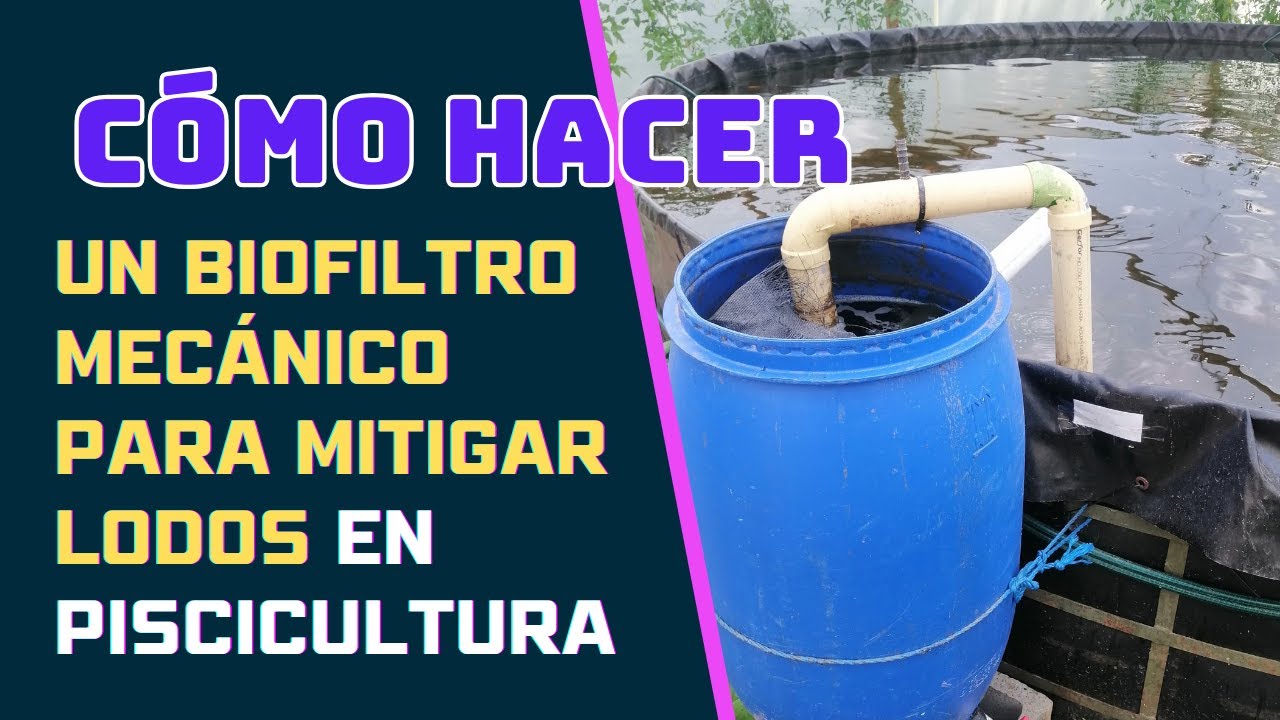 CÓMO HACER UN BIOFILTRO MECANICO PARA PISCICULTURA