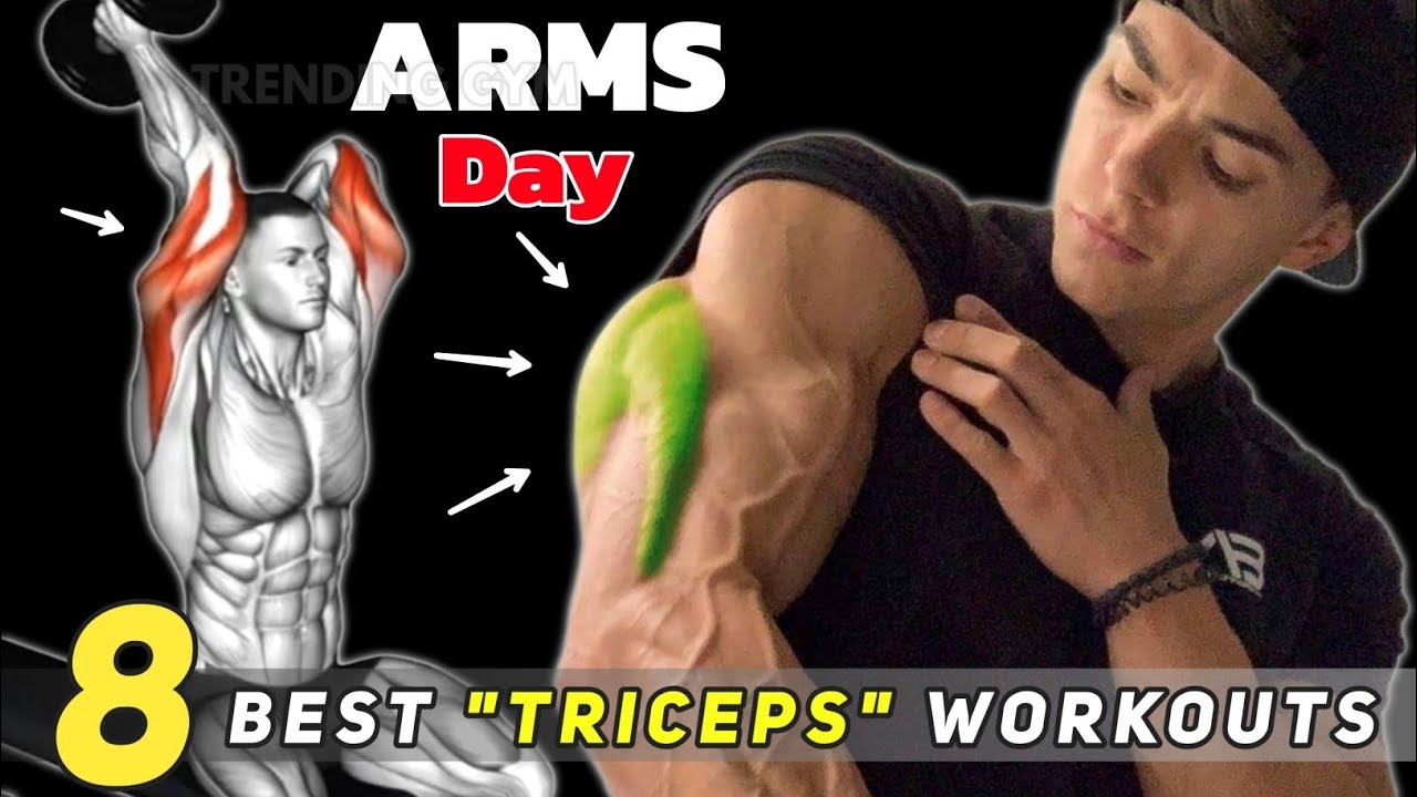 8 Triceps Workout Routine To Build Huge ARMS - Triceps Exercises