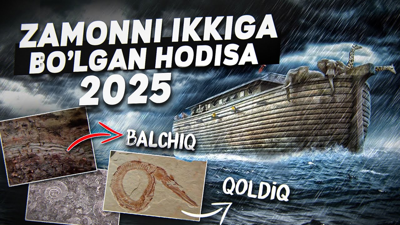 NUH ALAYHISSALOM TO'FONI! BARCHA TAFSILOTLAR 2025-YIL DALLILAR TOPILDI