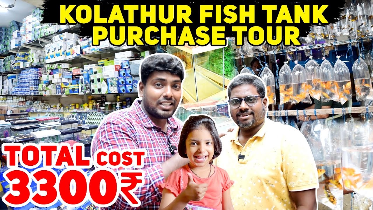 Kolathur Fish Tank Accessories Purchase Tour | Everything You Need to Know About Setting Up Aquarium