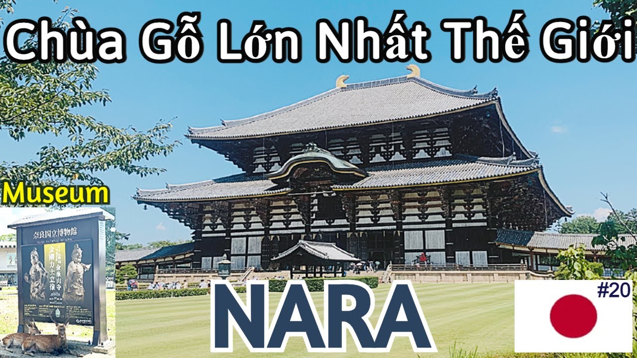 Du Lịch Nhật Bản, Nara: KIẾN TRÚC GỖ LỚN NHẤT THẾ GIỚI, Chùa Todaiji. Thăm Bảo Tàng Nara