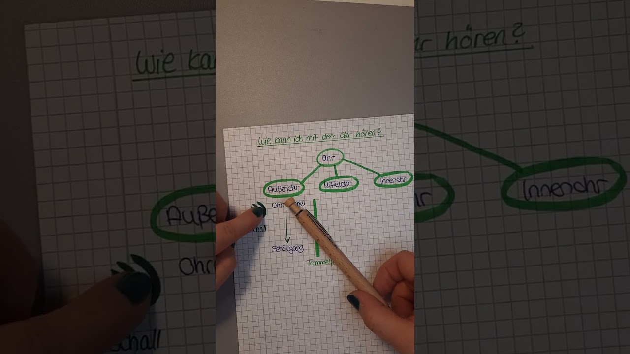 Wie höre ich mit dem Ohr?