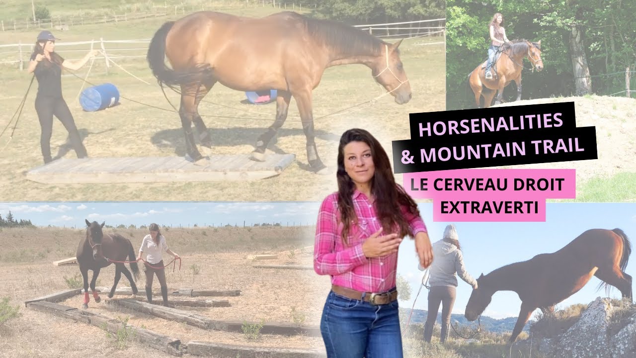 Cerveau droit extraverti (RBE) & Mountain Trail