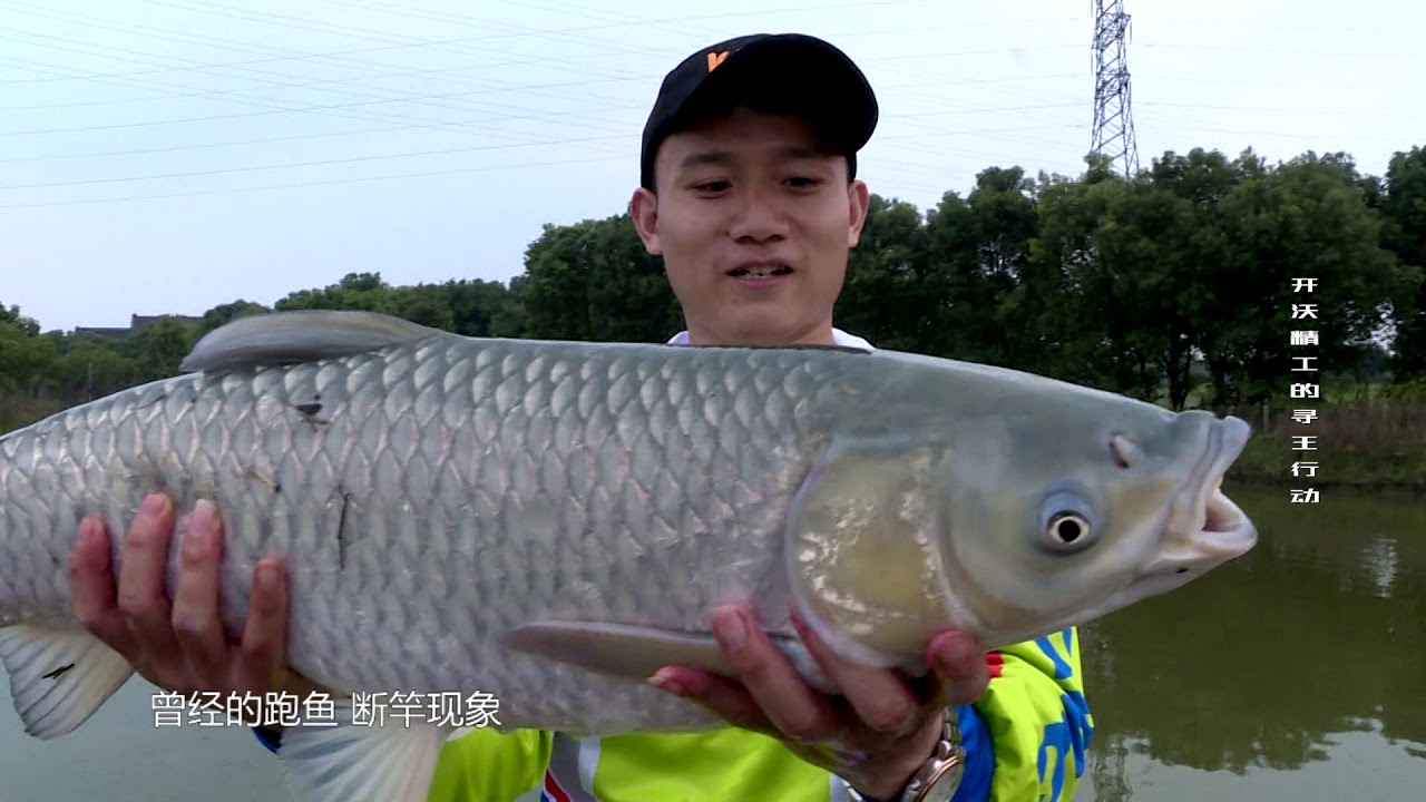 Cần c&acirc;u Kaiwo Tầm Vương 6H | Vietnam Fishing