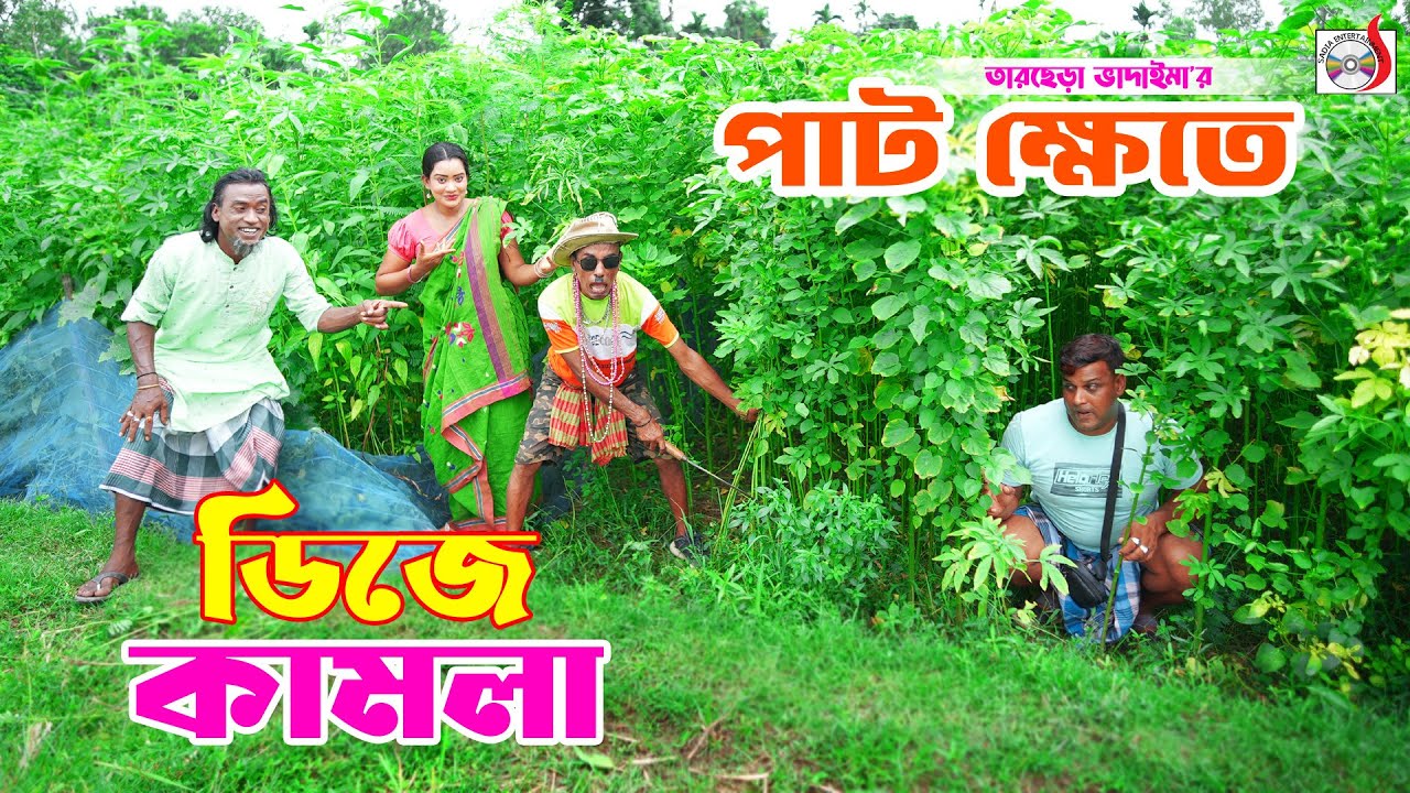 পাট খেতে ডিজে কামলা । তারছেরা ভাদাইমা । Paat Khete Dj Kamla । Tarchera Vadaima | Bangla Koutuk 2025