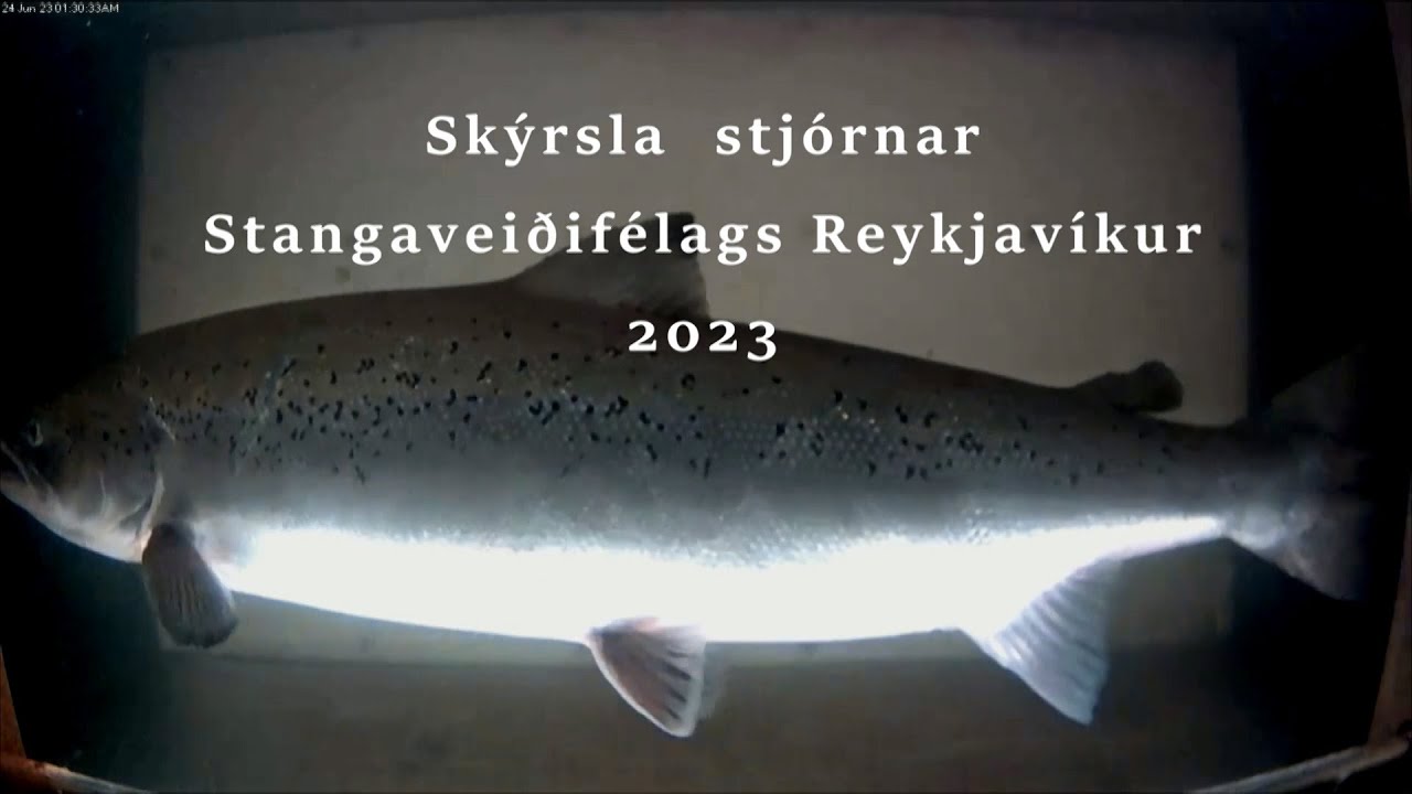 &Aacute;rssk&yacute;rsla SVFR 2023
