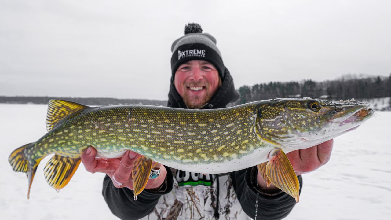 Ice Fishing PIKE with Tip Ups - How to Catch Pike Through Ice