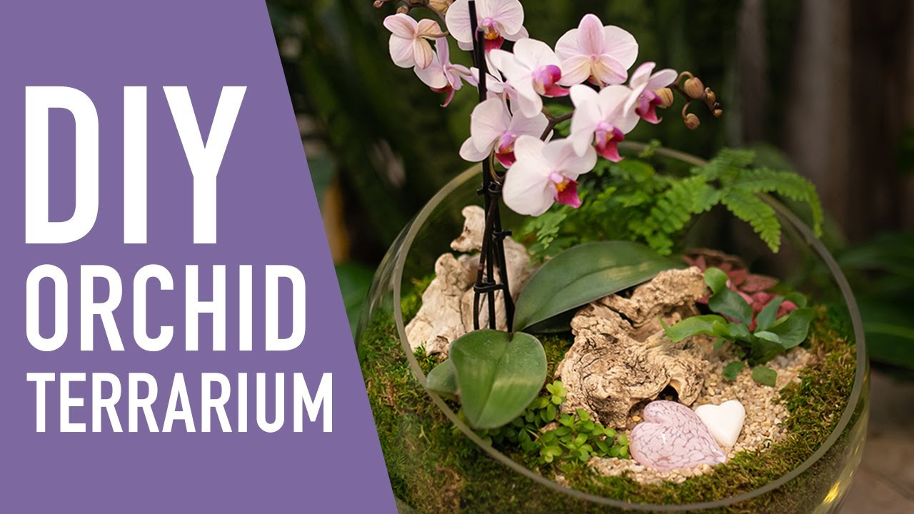 Happily Ever After Orchid Terrarium DIY || West Coast Gardens