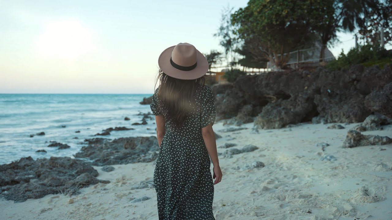 Melodic House Escape | RÜFÜS DU SOL, Adriatique, Meduza, Tinlicker, Massano | Visual Mix