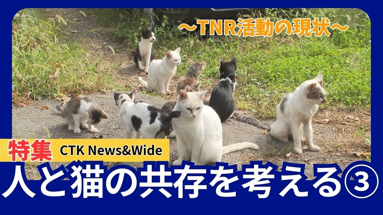人と猫の共存を考える③～TNR活動の現状～