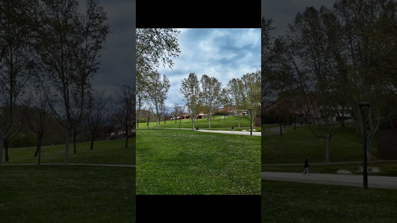 PRIMAVERA DE LLINARS