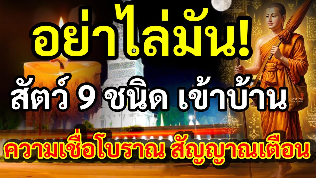 อย่าไล่มัน เด็ดขาด ห้ามตี สัตว์ 9 ชนิดเข้าบ้าน ความเชื่อโบราณ สัญญาณเตือน