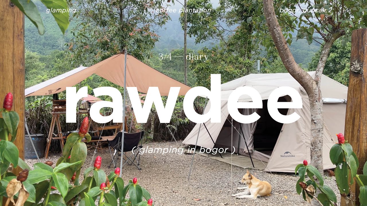 Camping in the Middle of a Coffee Plantation | Rawdee Glamping, Bogor