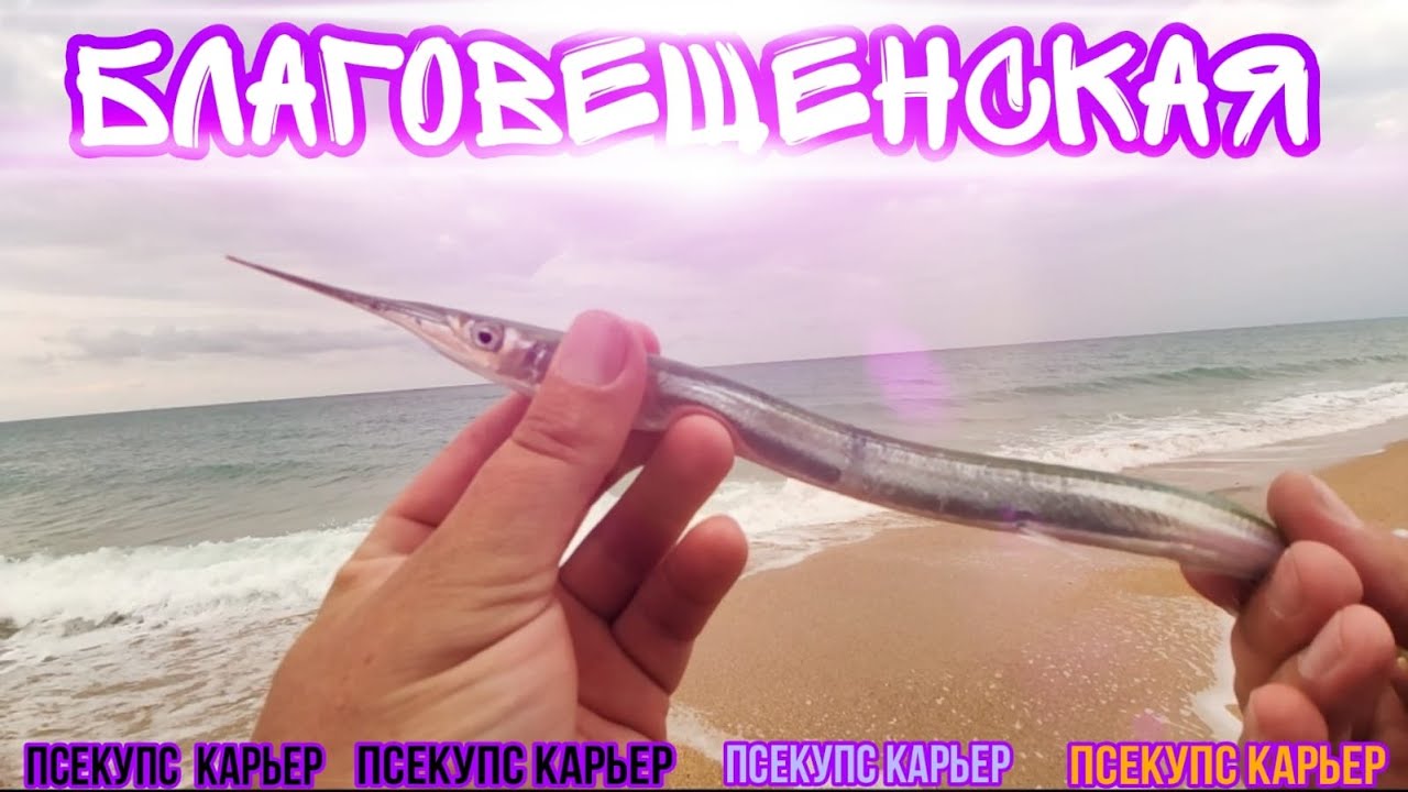 Где половить Новичку! Осенний Сарган в Благовещенской! Река Псекупс и Карьер.