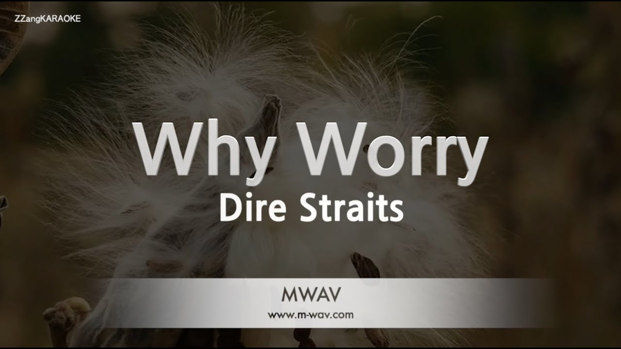 Dire Straits - Why Worry (Melody) (Karaoke Version)