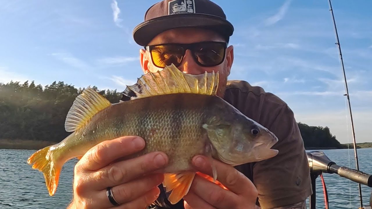 Jesienne duże okonie na 6 m! Brały jak oszalałe!! (Ponton KOLIBRI 330 PP) okolice Przyjezierza 