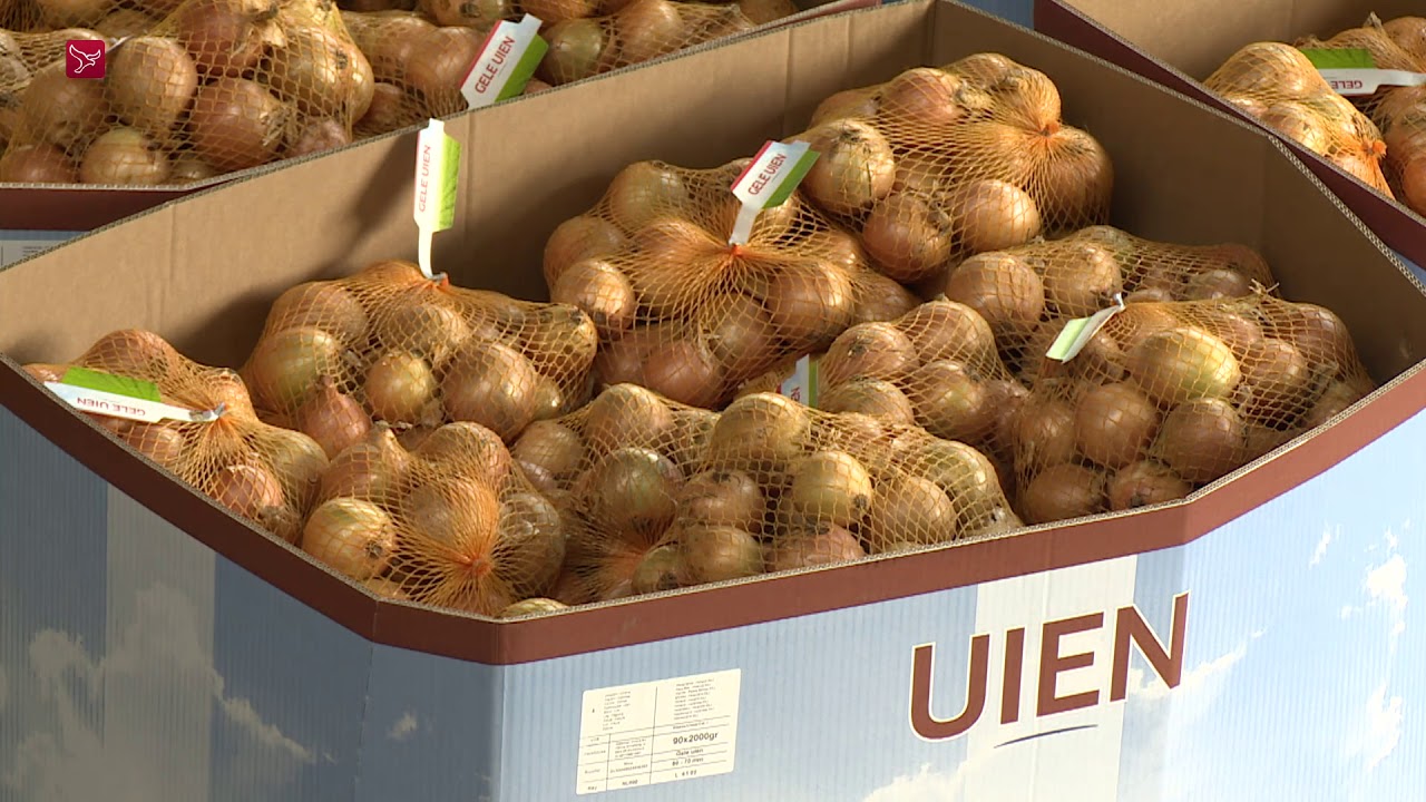 Waterman Onions groeit verder dankzij nieuwe schuur