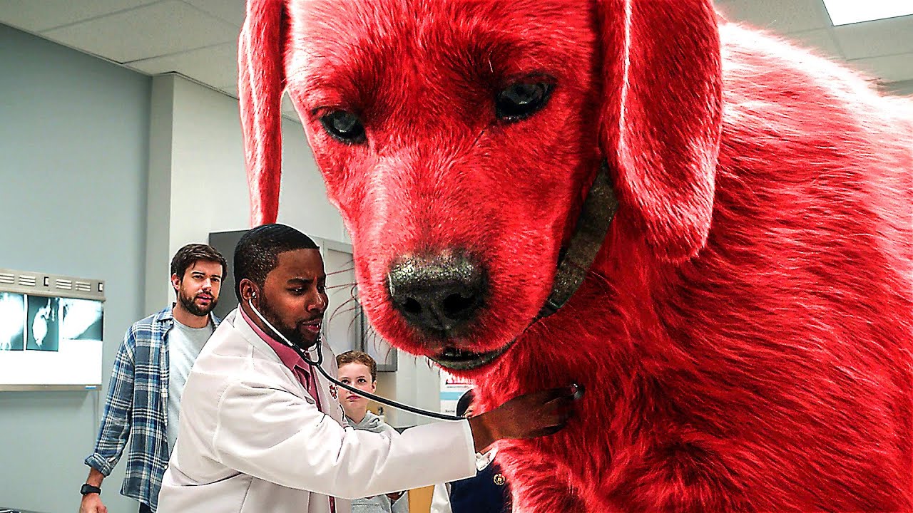 Waking up with a Cute Giant Puppy |  Clifford The Big Red Dog Funniest Scene 🌀 4K