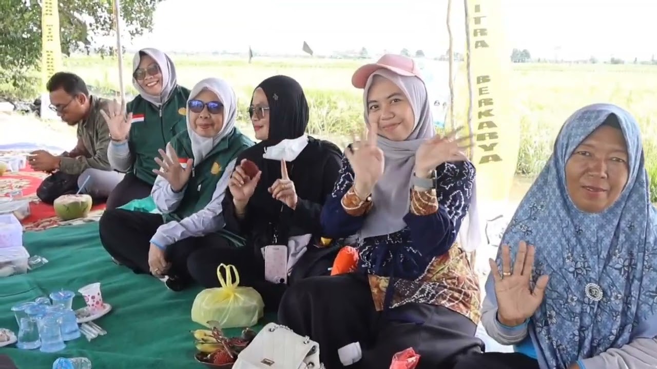 Panen Raya BP Mitra Berkarya Kecamatan Anjir Muara Kab. Barito Kuala