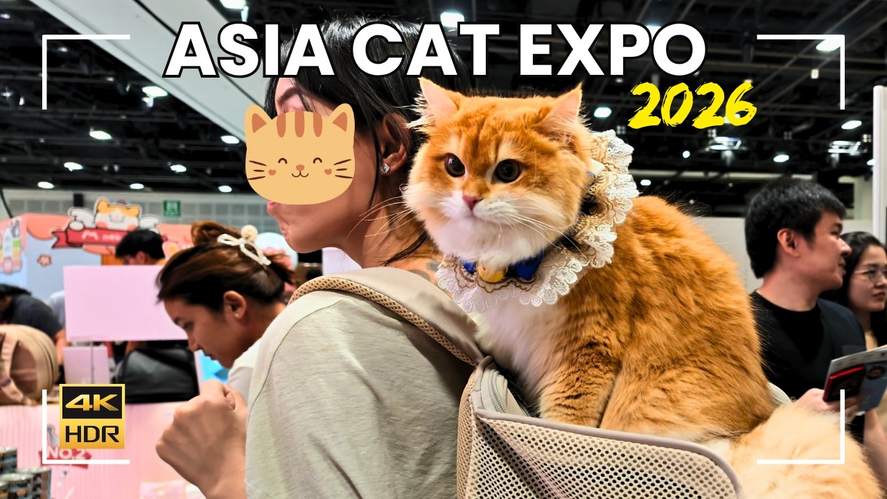 Asia Cat Expo 2026 | Singapore&rsquo;s Largest Cats Event & Competition!