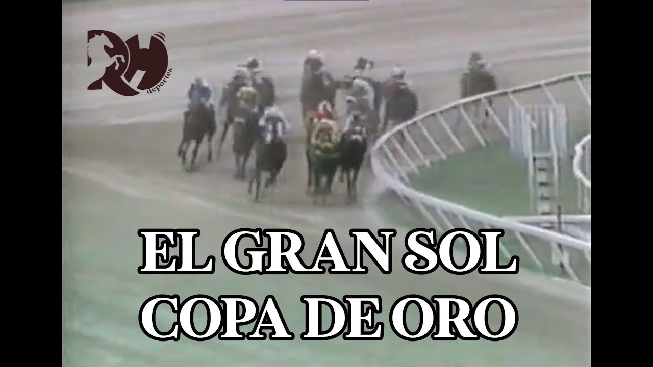 El caballo de hierro EL GRAN SOL corrio 6 veces la Copa de Oro de Venezuela