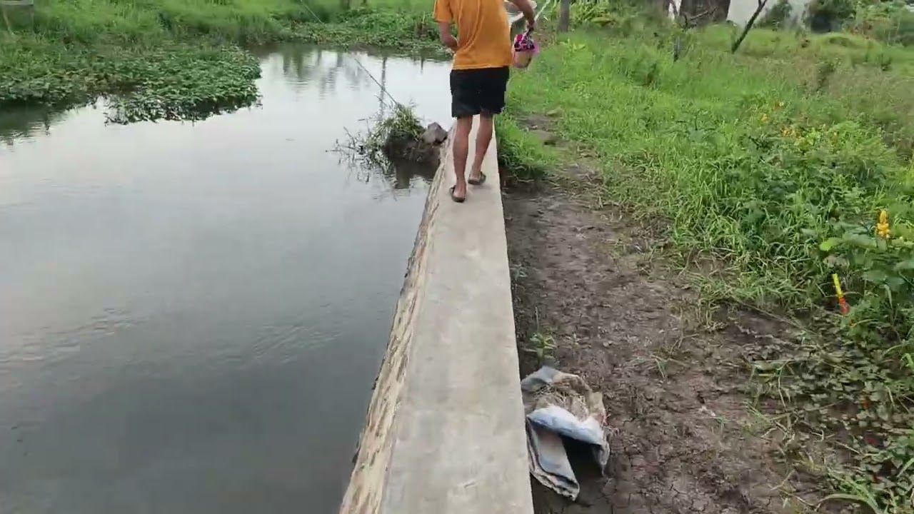 Lanjut mancing lg ges, sambil ngobrol dengan warloknya