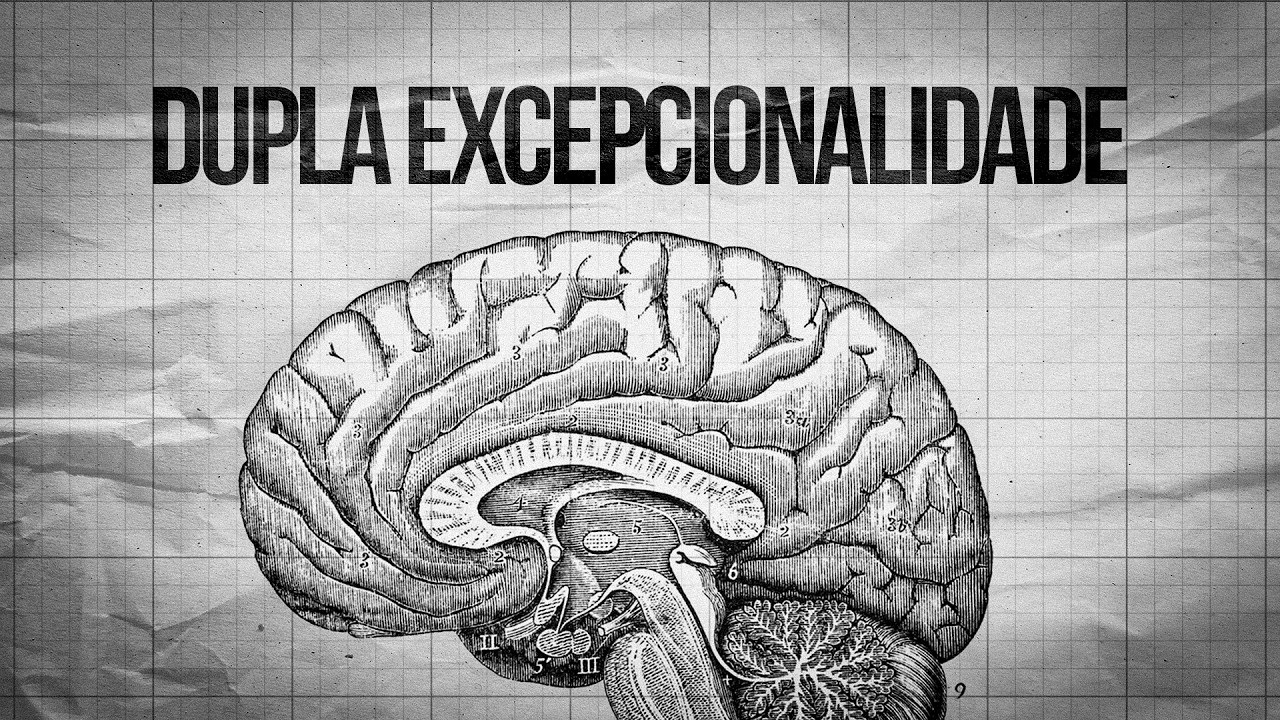 Como é o CÉREBRO de quem tem DUPLA EXCEPCIONALIDADE?