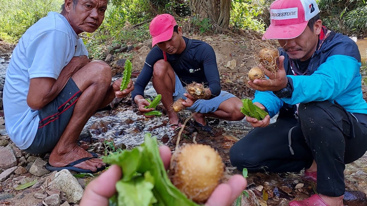 Sigarilyas na ligaw at lima lima ang nakita namin sa bundok dikit dikit ang laman